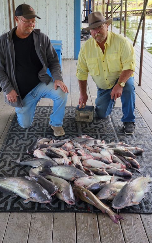 Best reports on catfishing